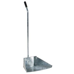 ALZAIMMONDIZIA ZINCO