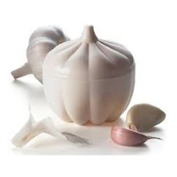 CONTENITORE PER AGLIO FATIGATI