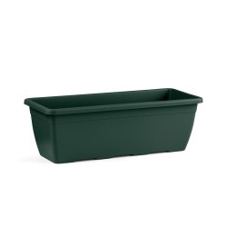 CASSETTA NAXOS 50 VERDE SCURO