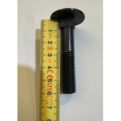 VITE M12X60MM TESTA TONDA...