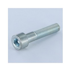 Z VITE M8X50MM PASSO 1,25...