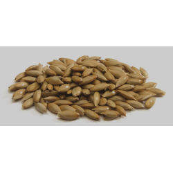 SCAGLIOLA BIANCA KG. 25