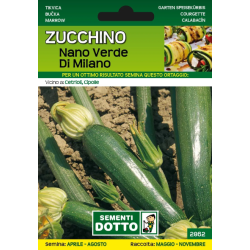 ZUCCHINO NANO VERDE MILANO